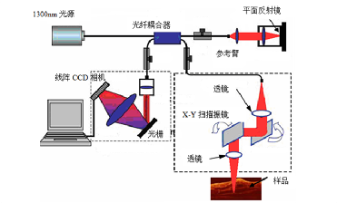 Which optical components are used in the optical coherence tomography system?