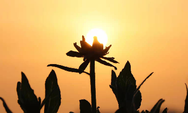 Basic optical design of Fourier infrared spectrometer